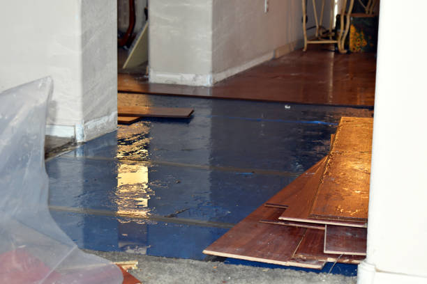 Professional Water Damage Restoration technician working in Mapleton, ND